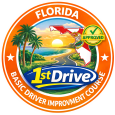 1stDrive- Florida Basic Driver Improvement Course