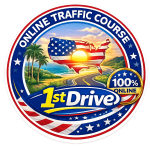 1stDrive
